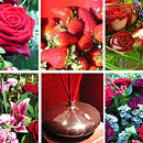 red bouquet
red roses
roses
lilies
red lilies
hypericun
red berries
red germini
germini
red gerbera
gerbera
red carnations
carnations