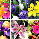 A lovely bouquet made from a variety of fresh seasonal flowers by Clare Florist.