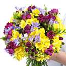Freesia Fragrance Bouquet