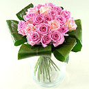 pink roses