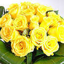yellow roses
