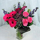 pink germini
germini
hot pink germini
aconitum
roses
pink roses
hydranega
calla lillies
black callas
eustoma
purple eustoma
pink eustoma
aspidistra leaves