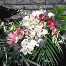 exotic bouquet
orchids
cymbidium orchid
curly bamboo
kentia palm