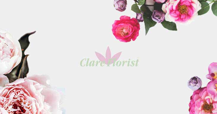 Clare Florist Advent Calendar - 7 days to go!