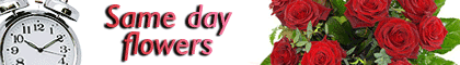 Same Day Flowers Same Day Flowers