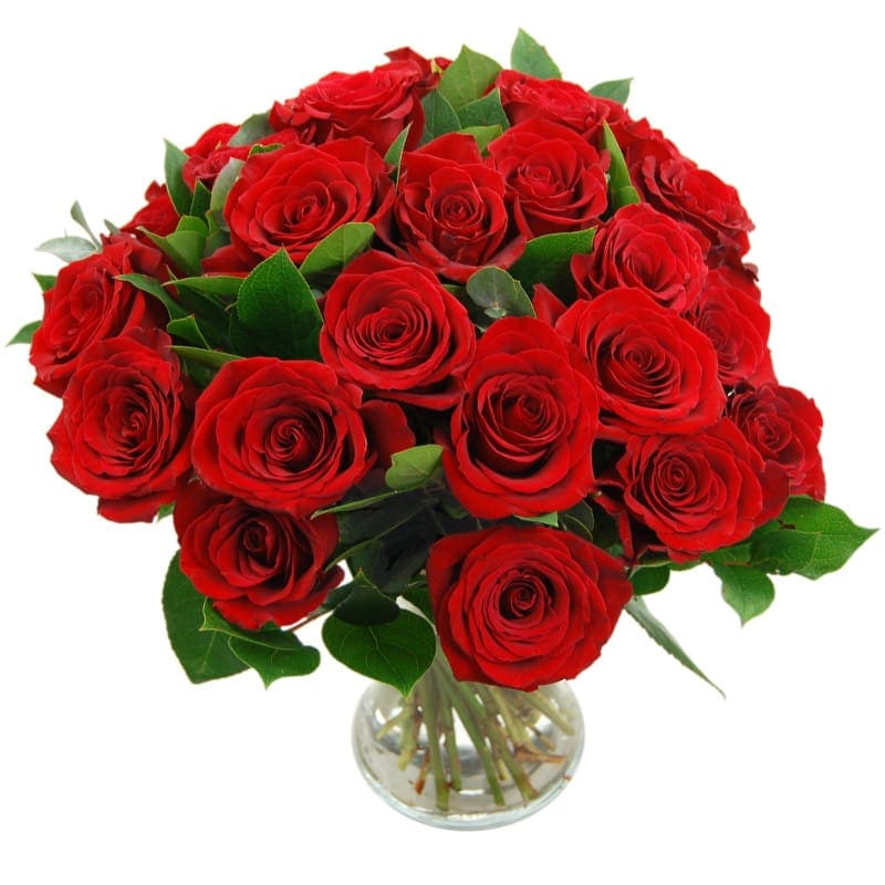 24 Red Roses Fresh Flower Bouquet Red Rose Flowers Arranged With Free