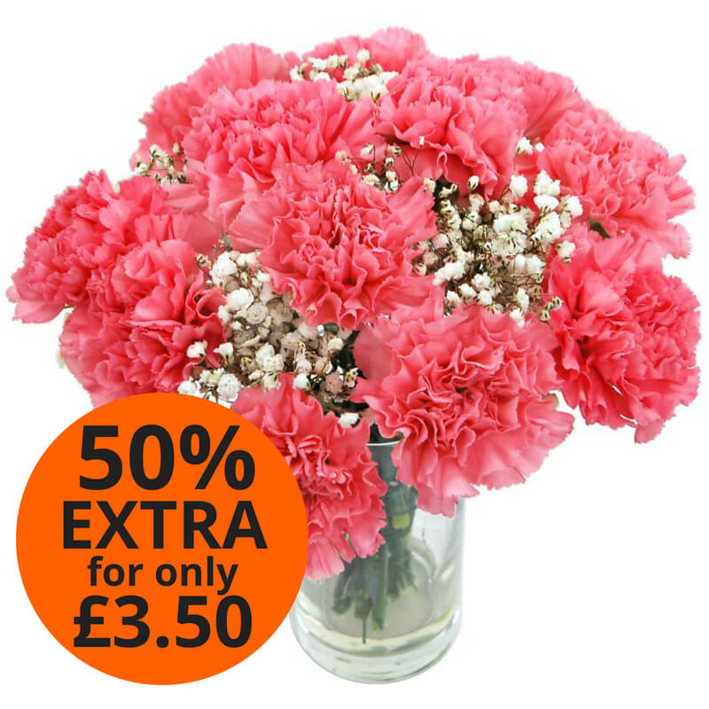 Red Carnations UK flower delivery by Clare Florist.