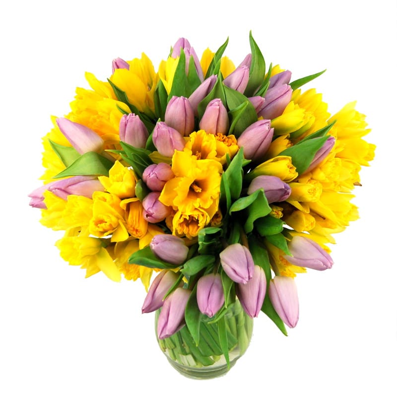 Spring Delight - fresh flowers for next-day flower delivery from Clare ...