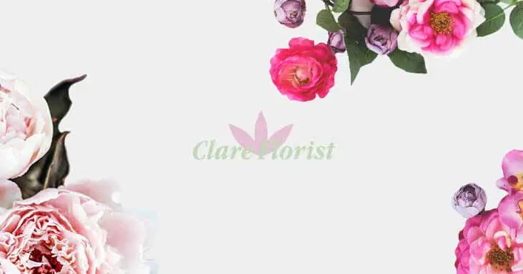Clare Florist Advent Calendar - 3 days to go!