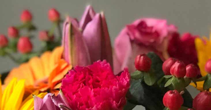 Send Summer Flowers with Clare Florist