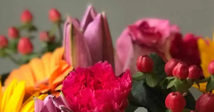 Give the Gift of a Flower Subscription