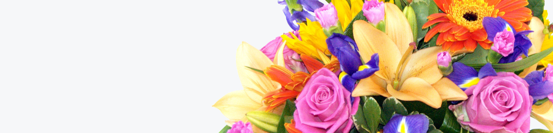 Send Flowers Online Free UK Flower Delivery Clare Florist