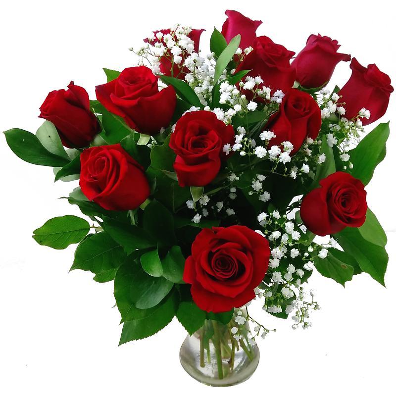 12 Luxury Red Roses Fresh Flower Bouquet