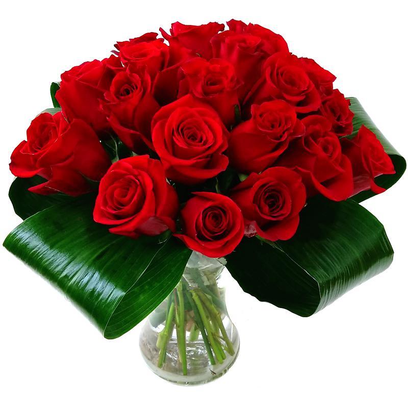 Love 20 Red Roses Fresh Flower Bouquet  Beautiful Romantic Roses Hand  Arranged and Delivered Next Day